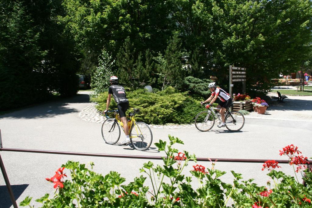 Camping Le Colporteur Hotell Le Bourg-dʼOisans Exteriör bild